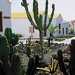 Apts Club Montecastillo * Caleta De Fuste