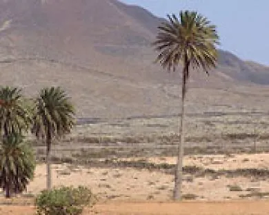 Ξενοδοχείο Apts Club Montecastillo *